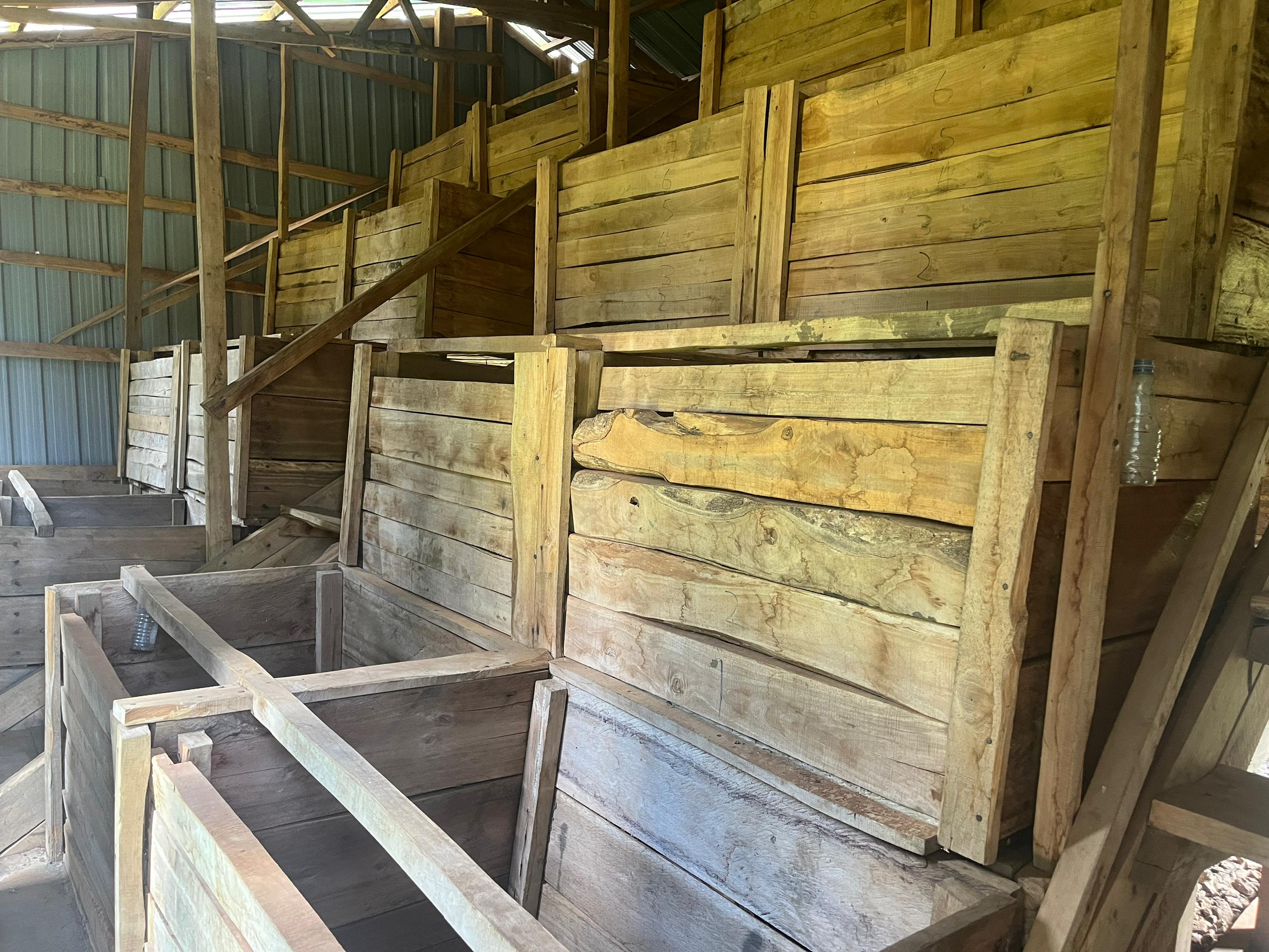 Why Fermentation Decides Your Cocoa Price