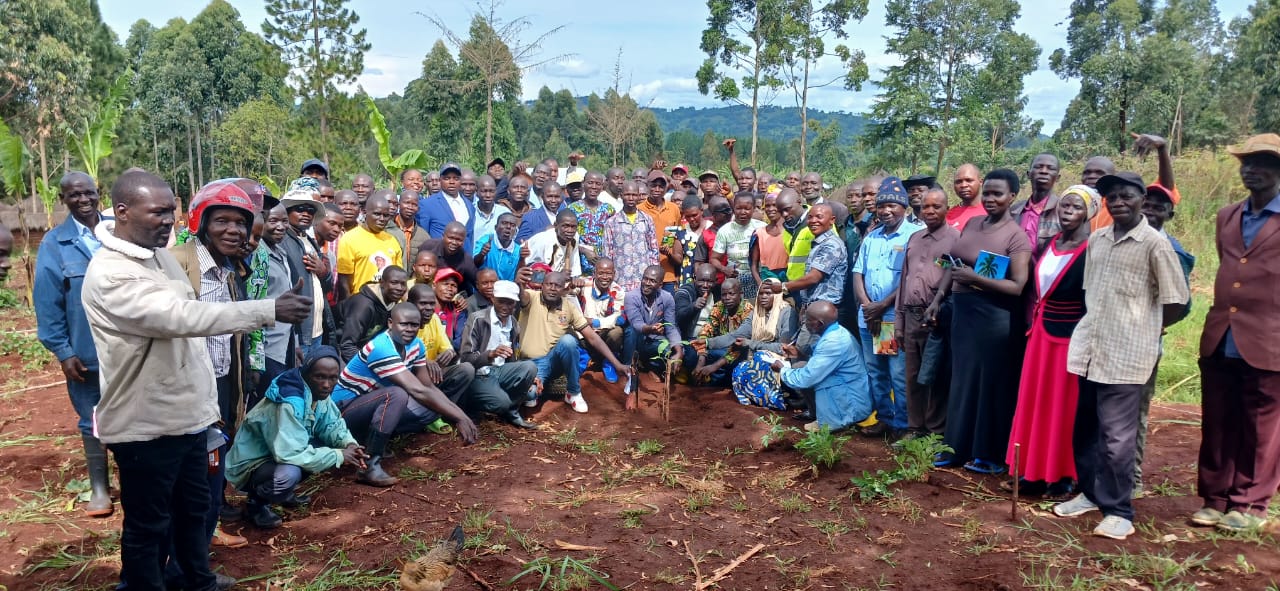 Regional Workshops